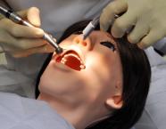 Robo paciente de odontologia