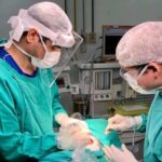 odontologia hospitalar